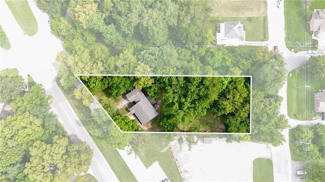 9501 E Winner Rd, Independence, MO 64053 - photo 4
