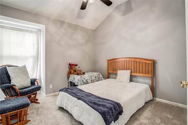 16403 W 156th Ter, Olathe, KS 66062 - photo 13