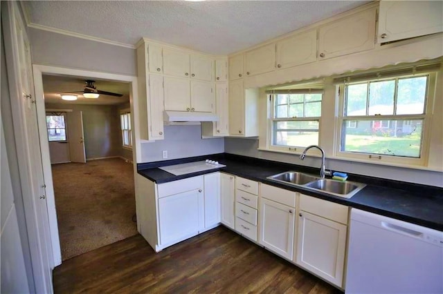 1701 S Olive St, Pittsburg, KS 66762 - photo 8