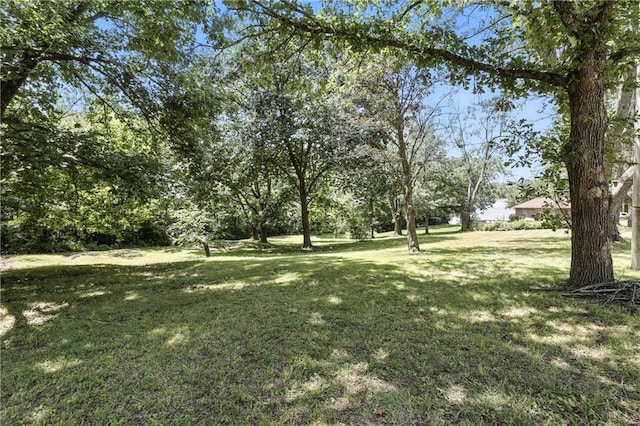 31785 Outlook Dr, Excelsior Springs, MO 64024 - photo 39