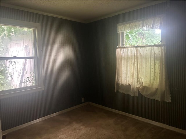 1013 W Santa Fe Trl, Kansas City, MO 64145 - photo 4