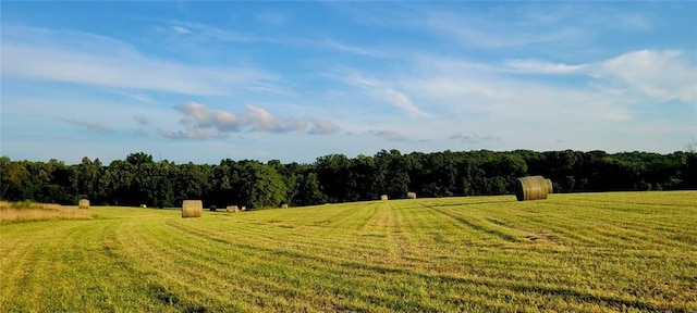548 SW 300th Rd, Centerview, MO 64019 - photo 35