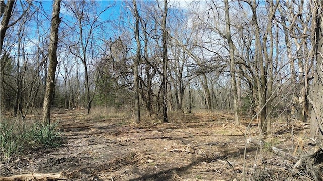 TRACTS1 Spring Valley Rd, Louisburg, KS 66053 - photo 2