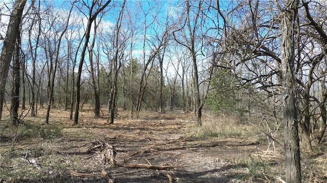 TRACTS1 Spring Valley Rd, Louisburg, KS 66053 - photo 4