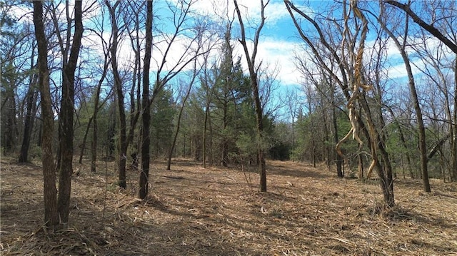 TRACTS1 Spring Valley Rd, Louisburg, KS 66053 - photo 7