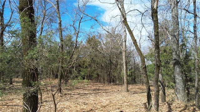 TRACTS1 Spring Valley Rd, Louisburg, KS 66053 - photo 8