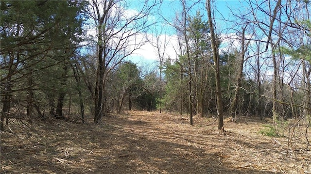 TRACTS1 Spring Valley Rd, Louisburg, KS 66053 - photo 10