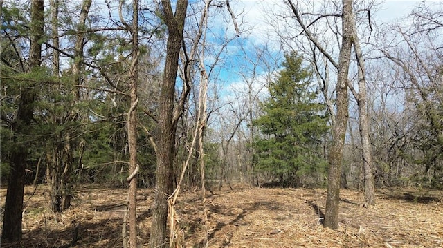 TRACTS1 Spring Valley Rd, Louisburg, KS 66053 - photo 11