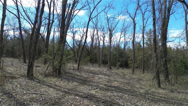 TRACTS1 Spring Valley Rd, Louisburg, KS 66053 - photo 14