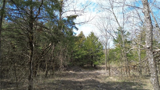 TRACTS1 Spring Valley Rd, Louisburg, KS 66053 - photo 17