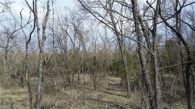 TRACTS1 Spring Valley Rd, Louisburg, KS 66053 - photo 18