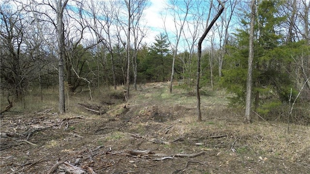 TRACTS1 Spring Valley Rd, Louisburg, KS 66053 - photo 20