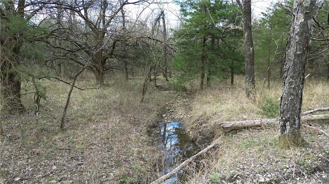 TRACTS1 Spring Valley Rd, Louisburg, KS 66053 - photo 21