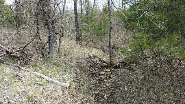 TRACTS1 Spring Valley Rd, Louisburg, KS 66053 - photo 22