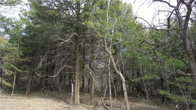 TRACTS1 Spring Valley Rd, Louisburg, KS 66053 - photo 24