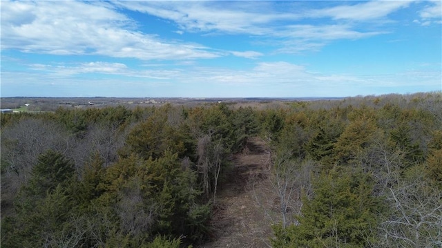 TRACTS1 Spring Valley Rd, Louisburg, KS 66053 - photo 26