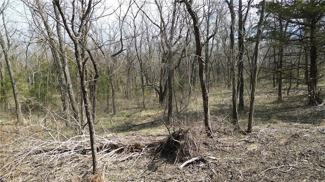 TRACTS1 Spring Valley Rd, Louisburg, KS 66053 - photo 27
