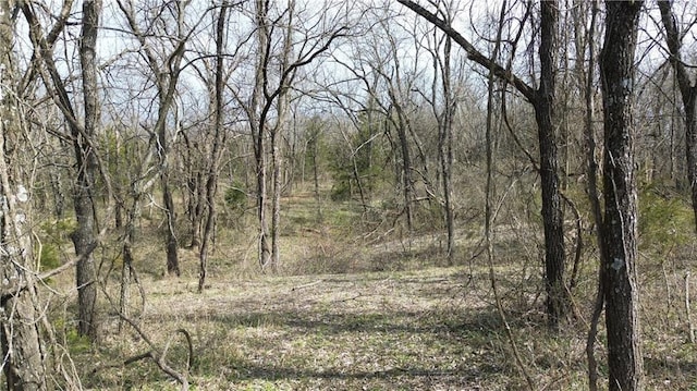 TRACTS1 Spring Valley Rd, Louisburg, KS 66053 - photo 28