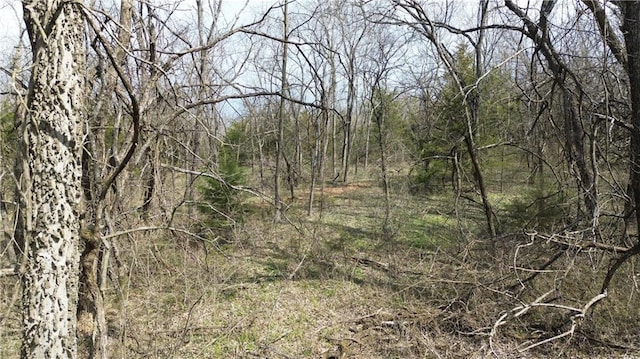TRACTS1 Spring Valley Rd, Louisburg, KS 66053 - photo 29