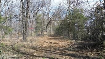 TRACTS1 Spring Valley Rd, Louisburg, KS 66053 - photo 36