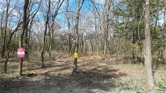 TRACTS1 Spring Valley Rd, Louisburg, KS 66053 - photo 41