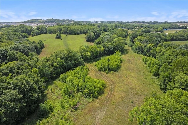 6925 Outer Rd, Odessa, MO 64075 - photo 11
