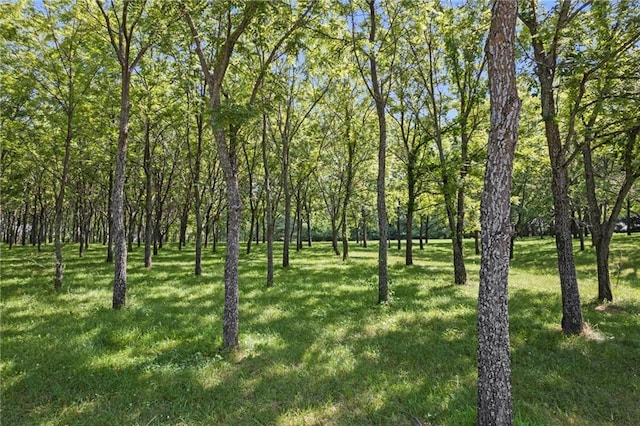 6925 Outer Rd, Odessa, MO 64075 - photo 18