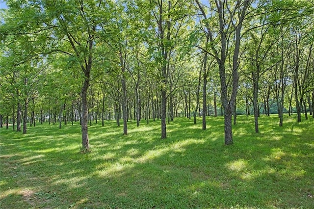 6925 Outer Rd, Odessa, MO 64075 - photo 23