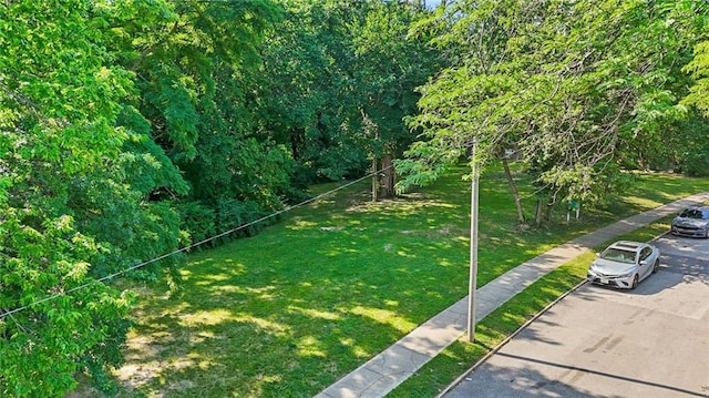2723 Campbell St, Kansas City, MO 64109 - photo 5