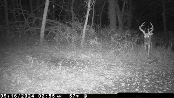 2 SW Patton Rd, Amity, MO 64422 - photo 7