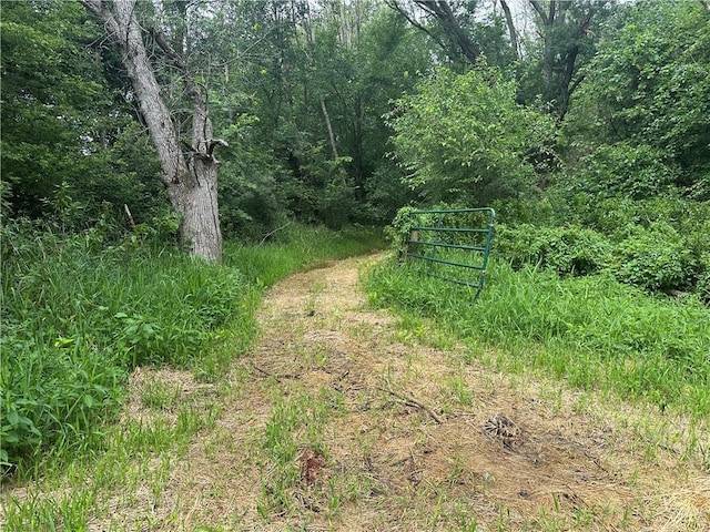 2 SW Patton Rd, Amity, MO 64422 - photo 14