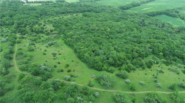 2 SW Patton Rd, Amity, MO 64422 - photo 21