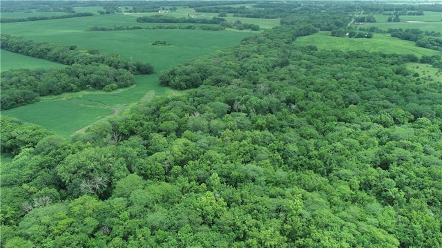 2 SW Patton Rd, Amity, MO 64422 - photo 24