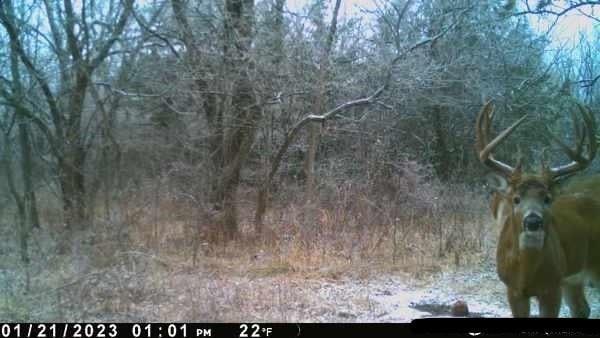 2 SW Patton Rd, Amity, MO 64422 - photo 26