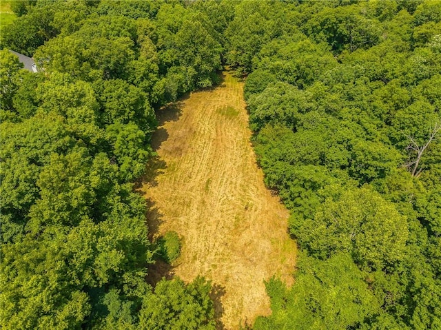 5500 W Gale Rd, County/Other, MO 64089 - photo 14