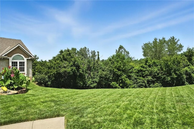 800 Cherry Ln, Smithville, MO 64089 - photo 5