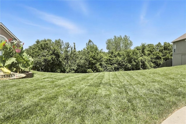800 Cherry Ln, Smithville, MO 64089 - photo 46
