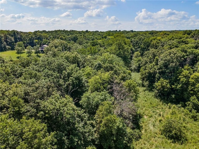 30881 Nn Hwy, Blackburn, MO 65321 - photo 46