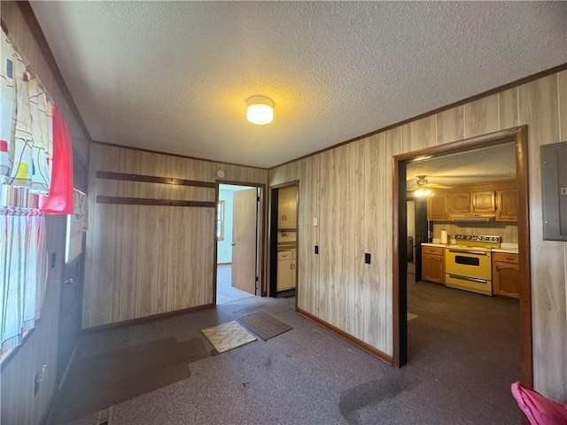 118 N Mulberry St, Adrian, MO 64720 - photo 15