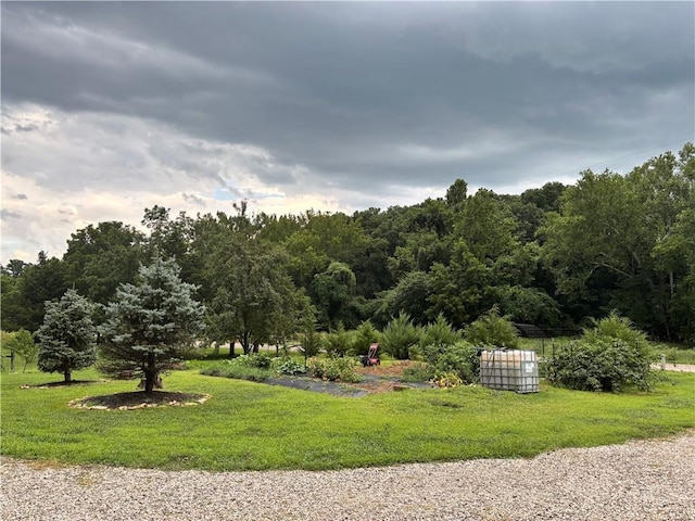 4727 Butler Ter, Lane, KS 66042 - photo 11