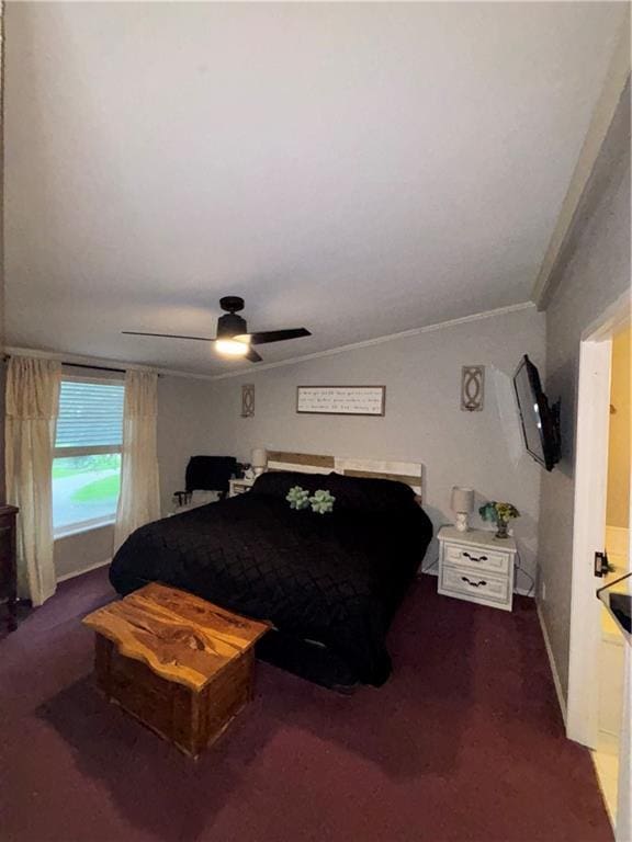 4727 Butler Ter, Lane, KS 66042 - photo 34