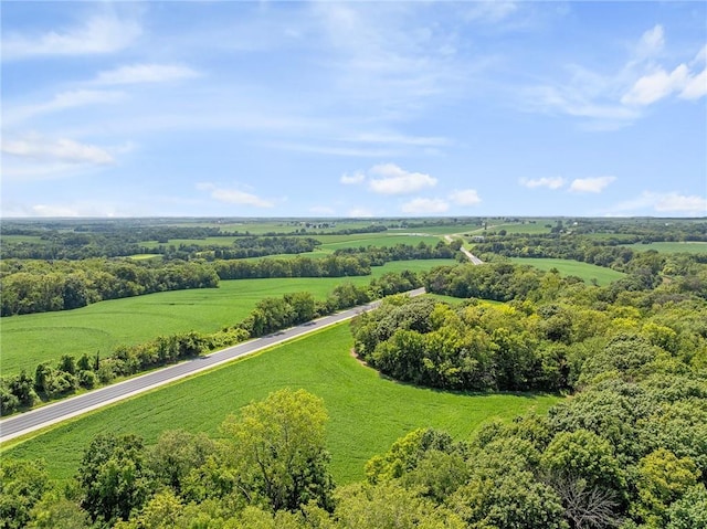 14625 Shady Ln, Wellington, MO 64097 - photo 9