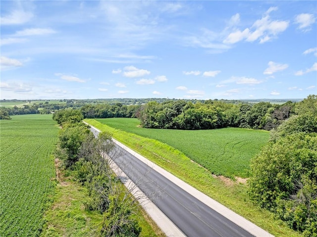 14625 Shady Ln, Wellington, MO 64097 - photo 10