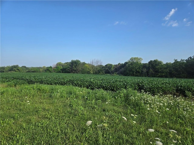14625 Shady Ln, Wellington, MO 64097 - photo 21