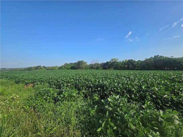 14625 Shady Ln, Wellington, MO 64097 - photo 22