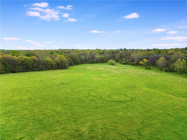 TRACT4 Kinnamon Rd, Odessa, MO 64076 - photo 6