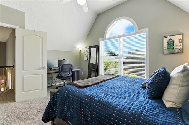 11318 W 132nd Ter, Overland Park, KS 66213 - photo 23