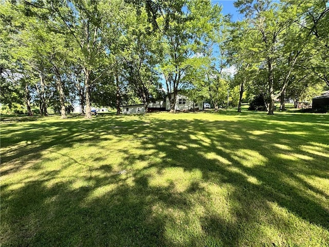 170 NE 1011th Rd, Knob Noster, MO 65336 - photo 8