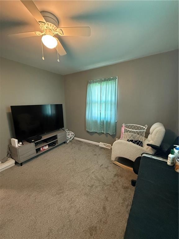 1205 Highland St, Macon, MO 63552 - photo 25