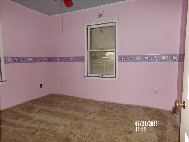 207 Arabella St, Wellington, MO 64097 - photo 5